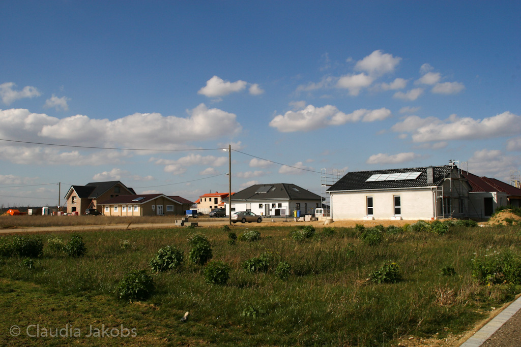 140302132353 IMG 6688