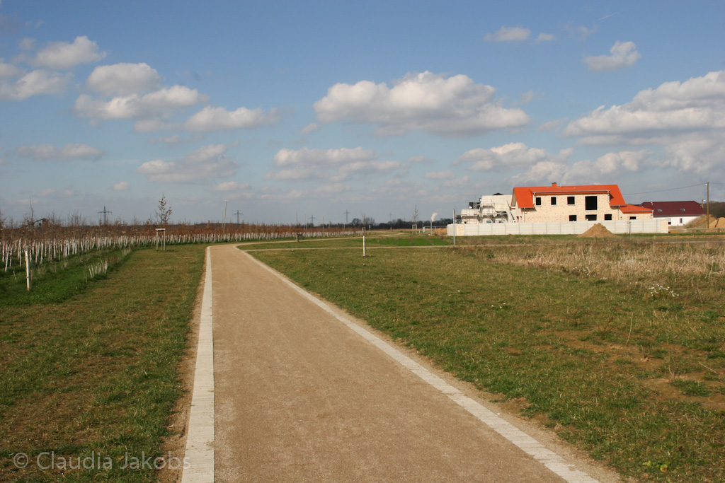 140302132820 IMG 6698