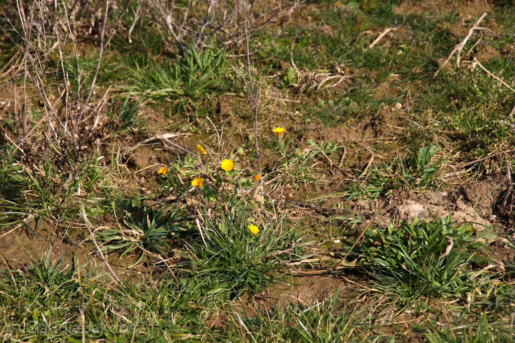 140302132859 IMG 6699