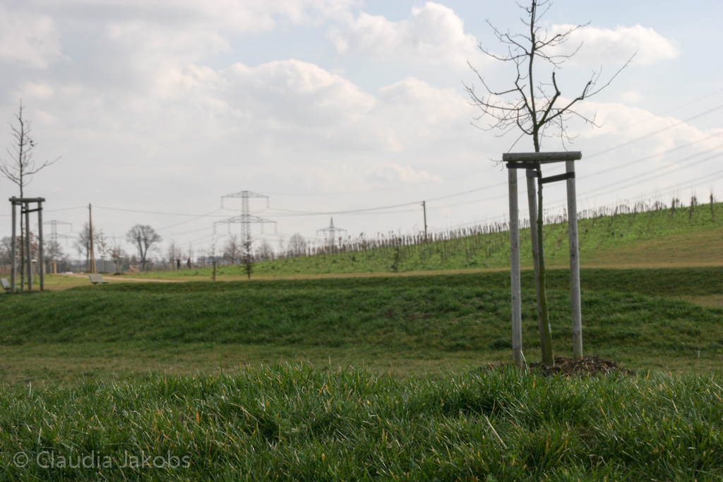 140302133337 IMG 6706