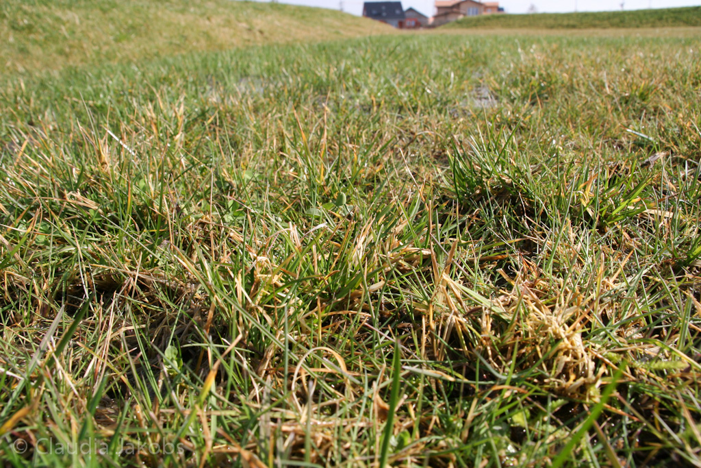 140302133455 IMG 6710