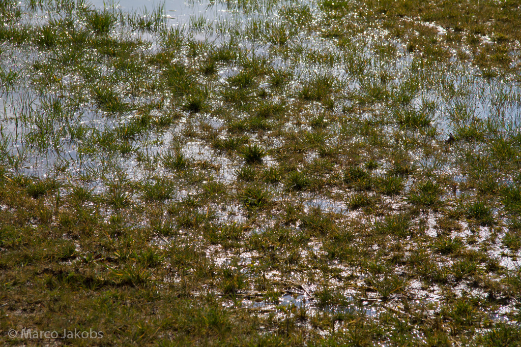 140302133532 MJ  0922