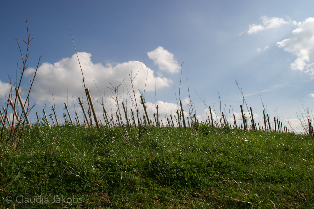 140302133709 IMG 6714