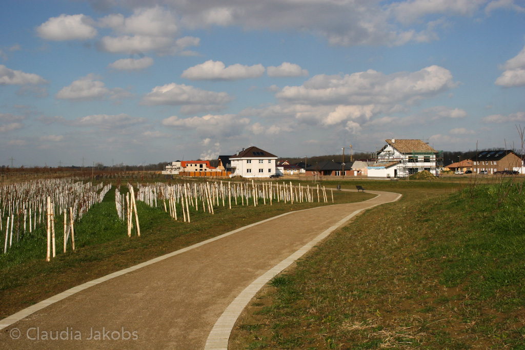 140302133725 IMG 6715