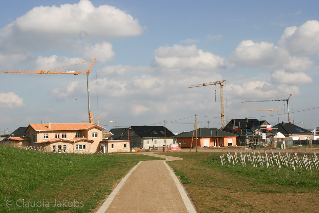 140302133837 IMG 6716