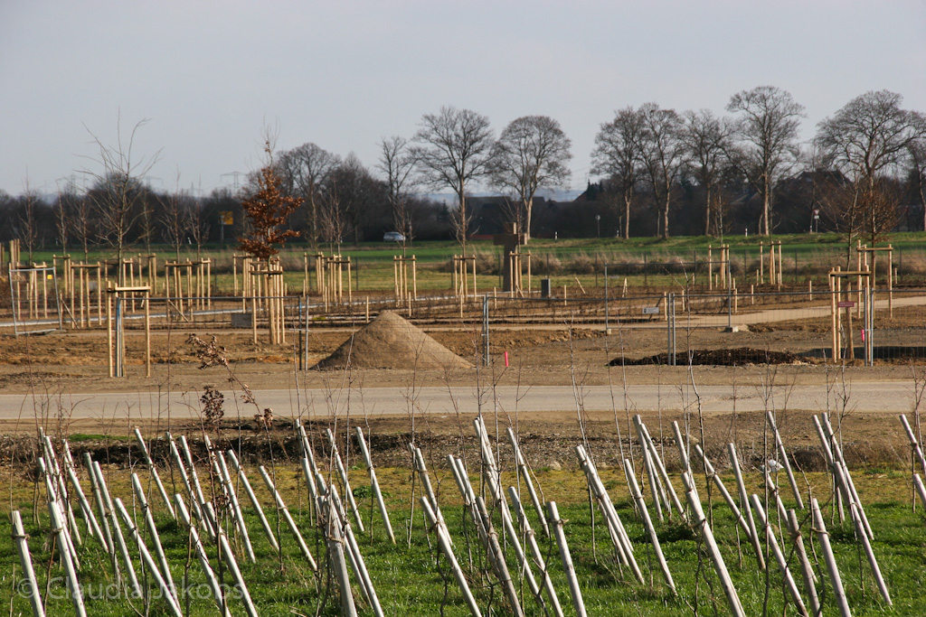 140302133915 IMG 6717