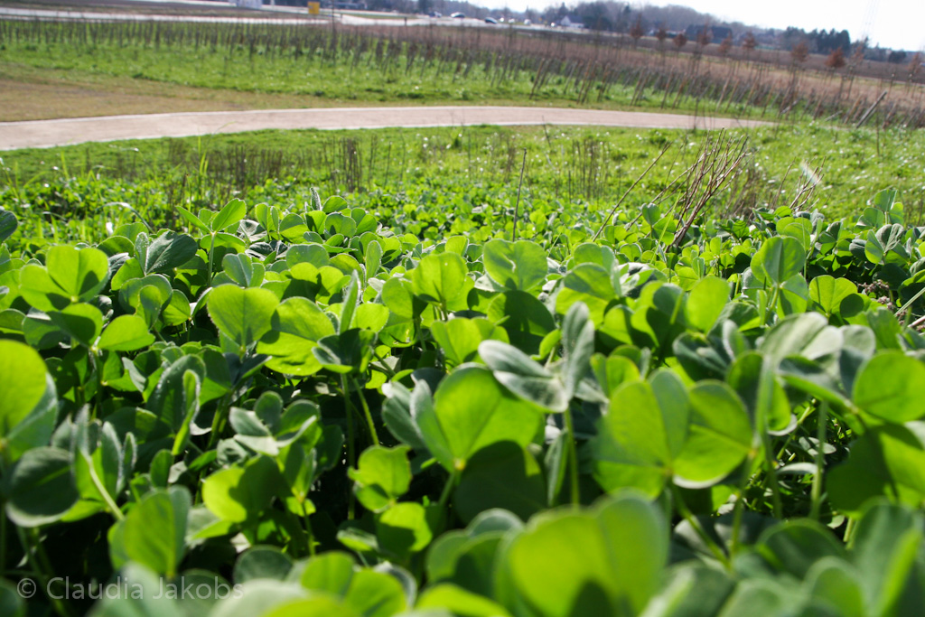 140302133944 IMG 6718