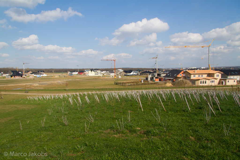 140302134015 MJ  0932