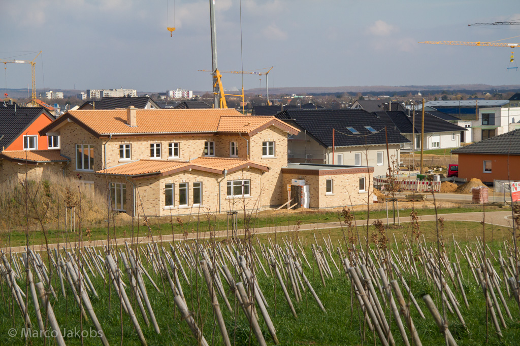 140302134021 MJ  0934