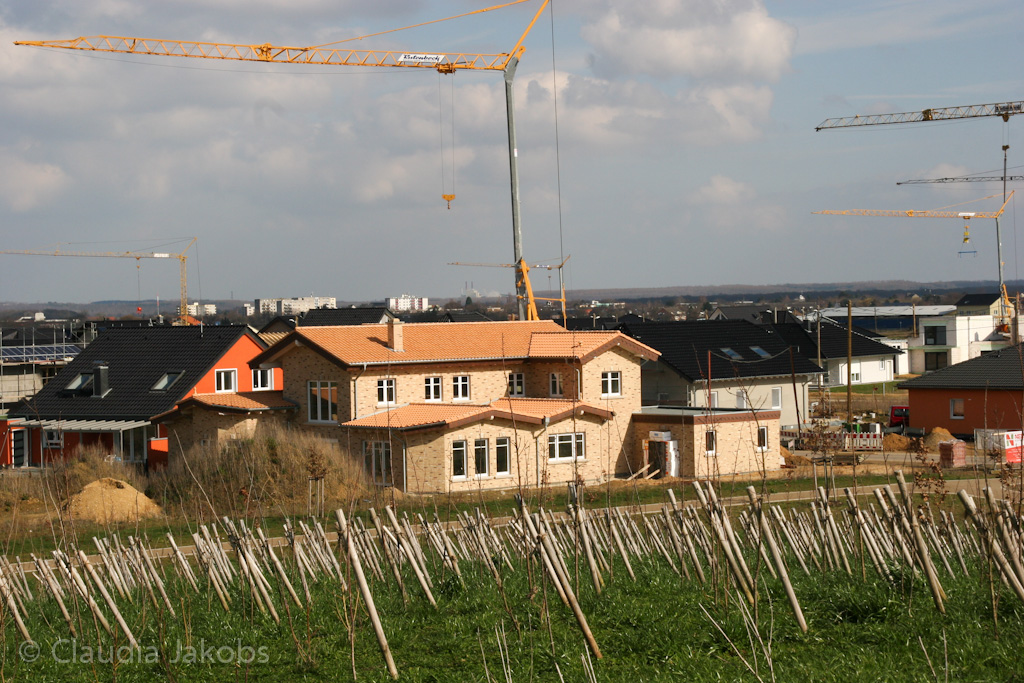 140302134052 IMG 6727