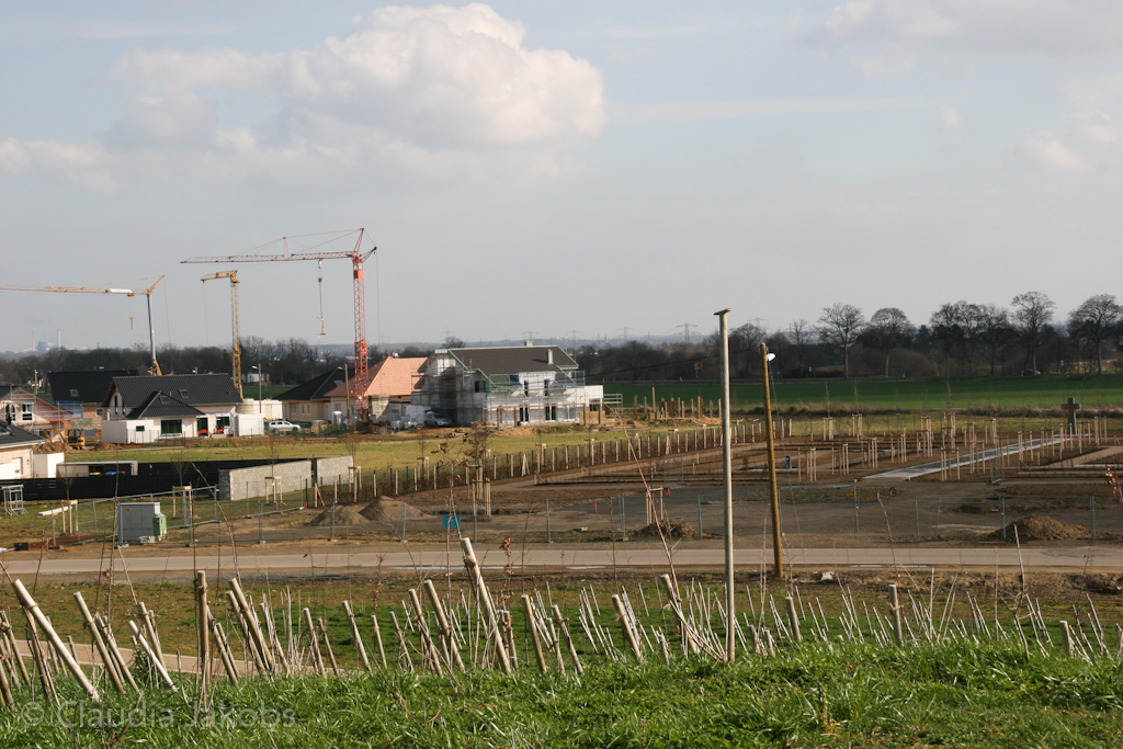 140302134108 IMG 6729