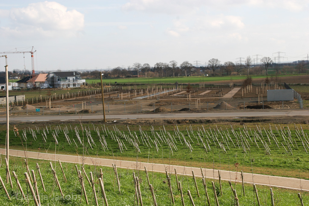 140302134151 IMG 6733