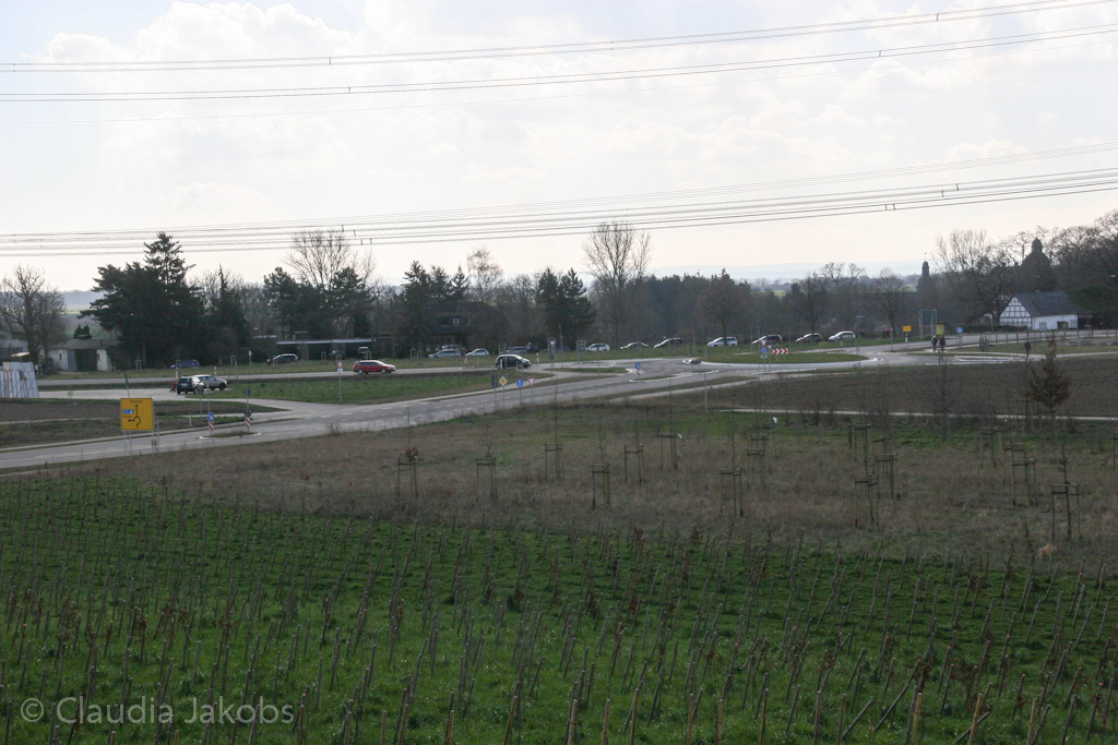 140302134459 IMG 6734