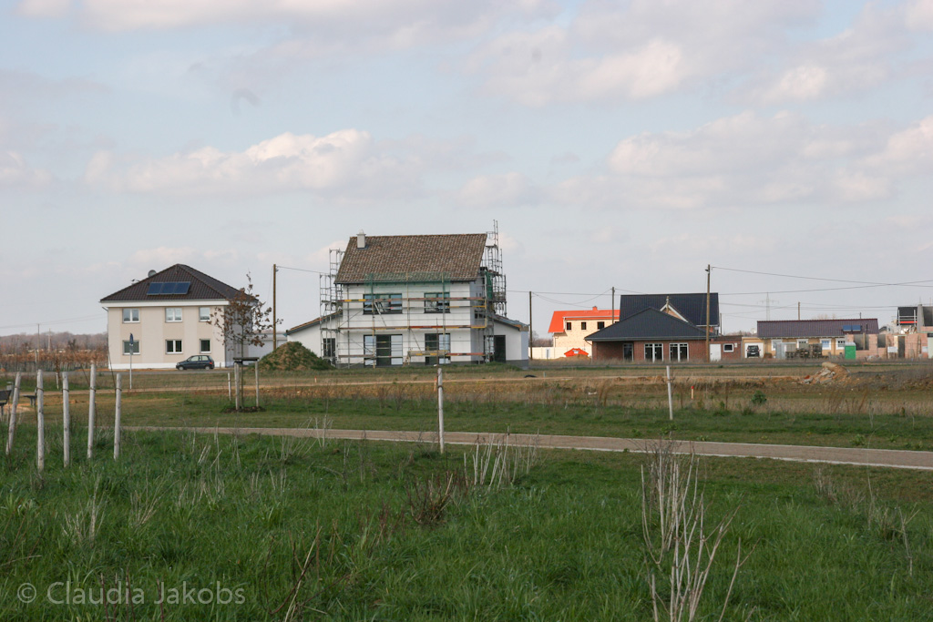 140302134654 IMG 6735