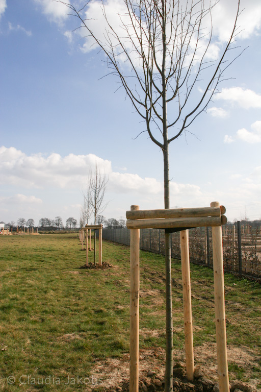 140302134915 IMG 6739