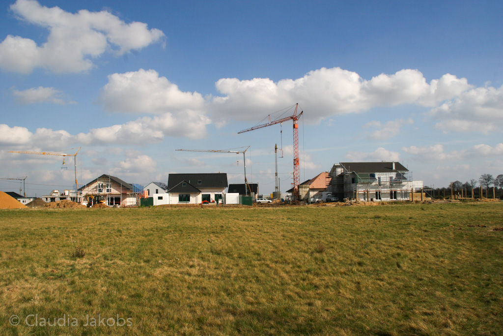 140302135010 IMG 6741