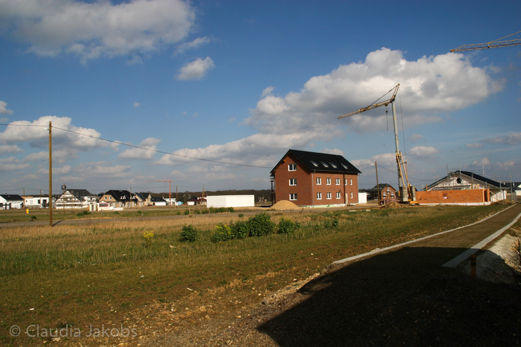 140302140302 IMG 6767