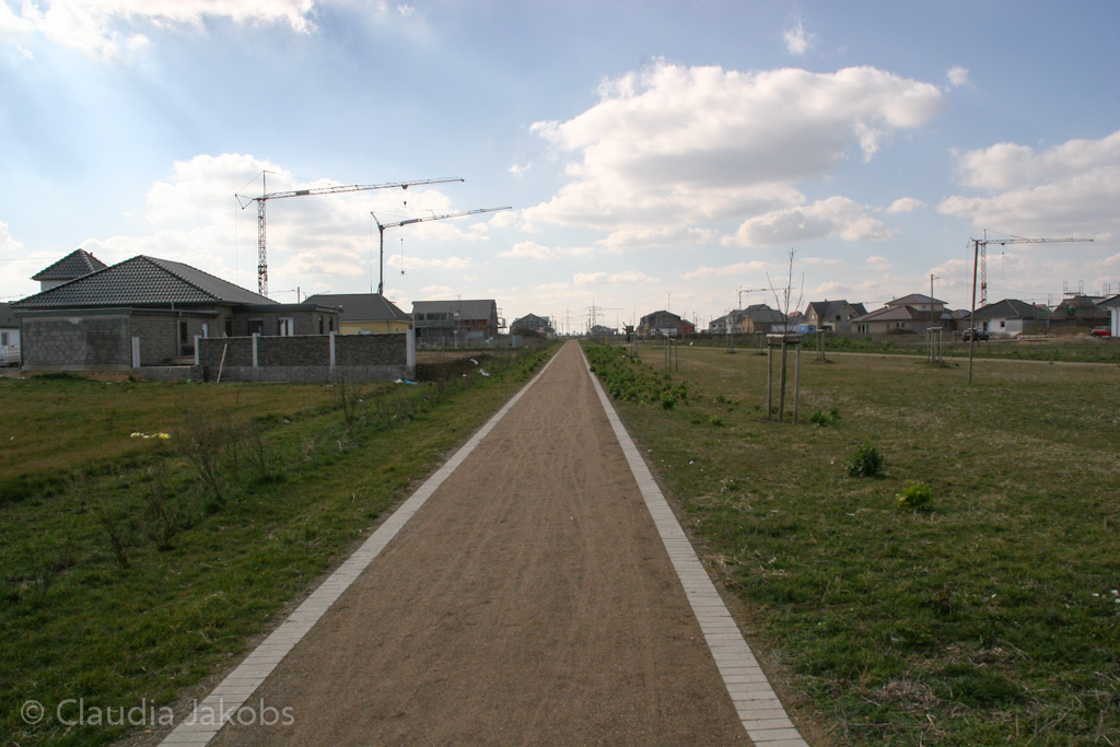 140302141714 IMG 6784