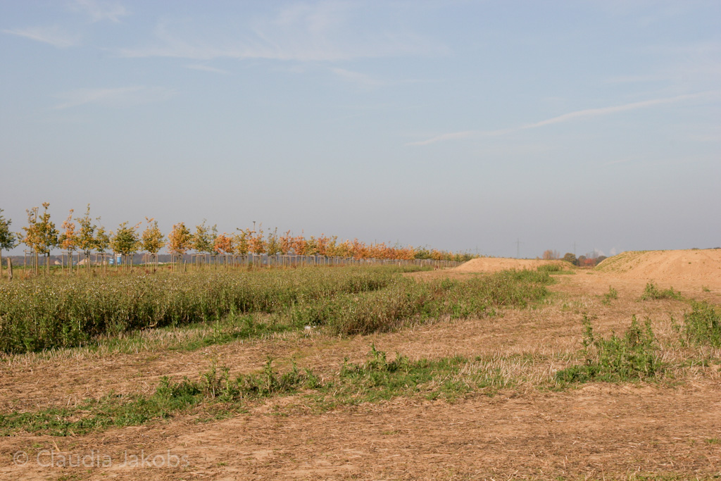 111101133710 IMG 0550