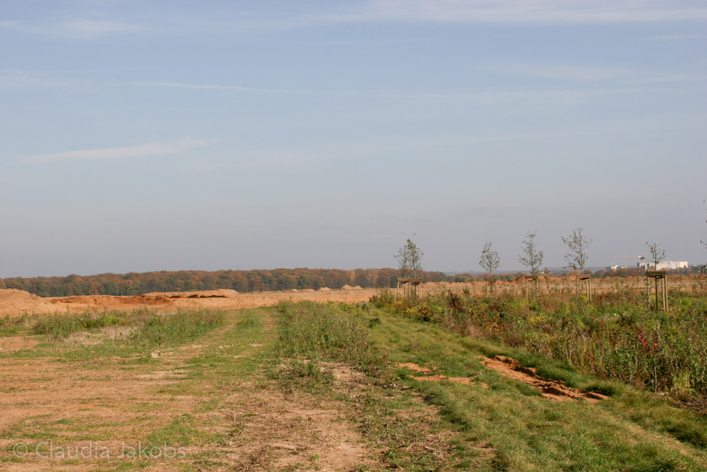 111101133756 IMG 0556