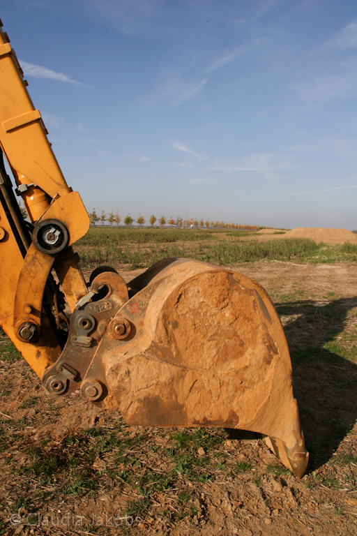 111101133848 IMG 0560