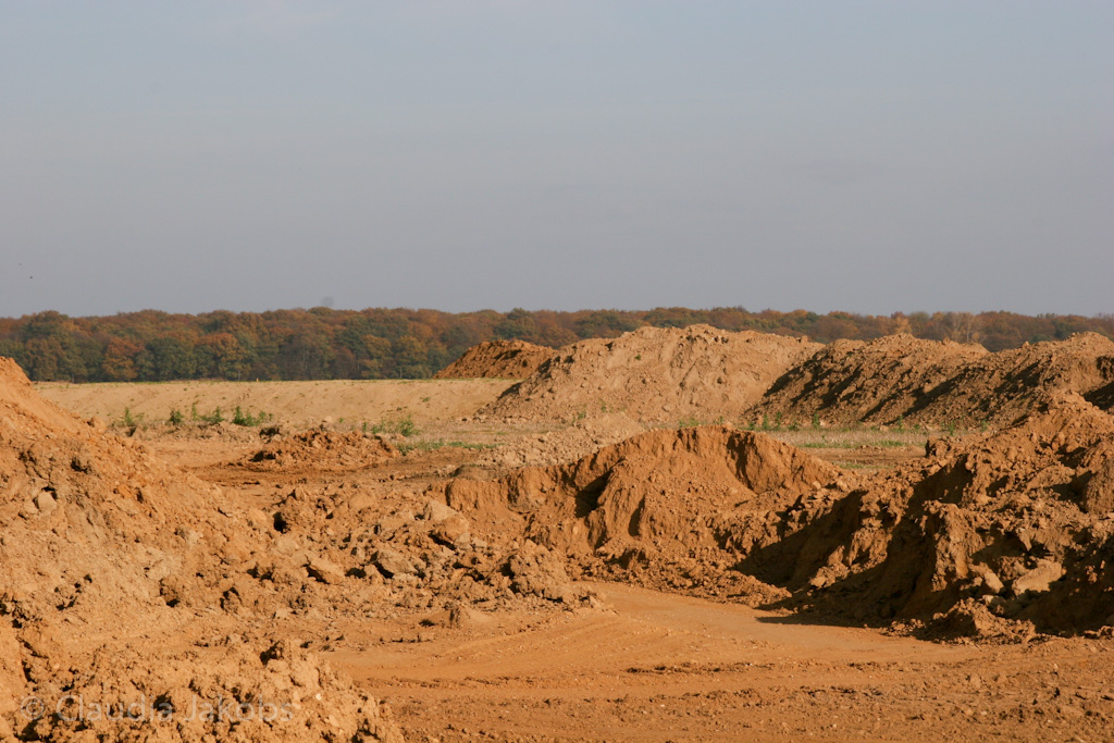 111101134020 IMG 0568