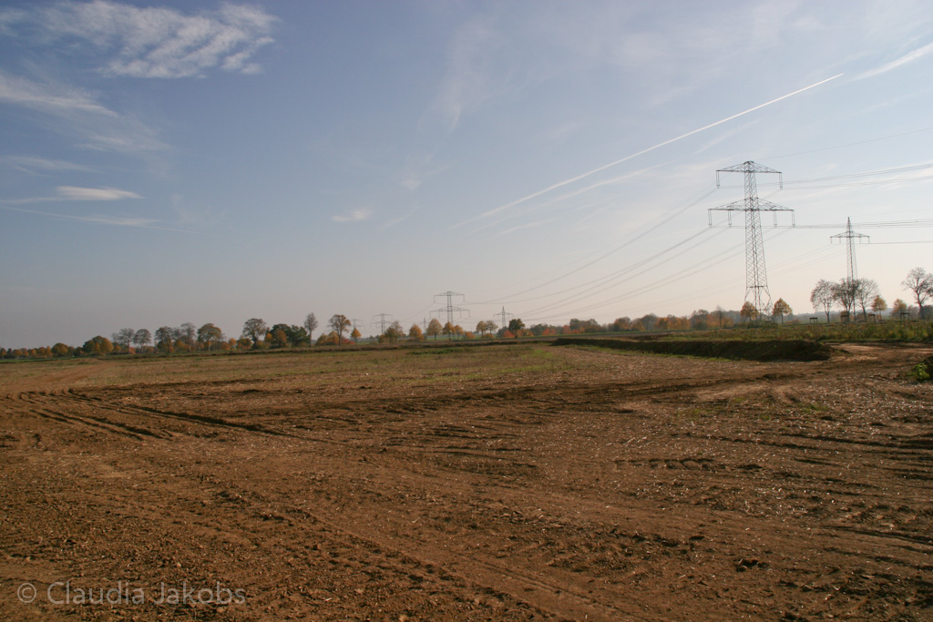 111101134120 IMG 0573