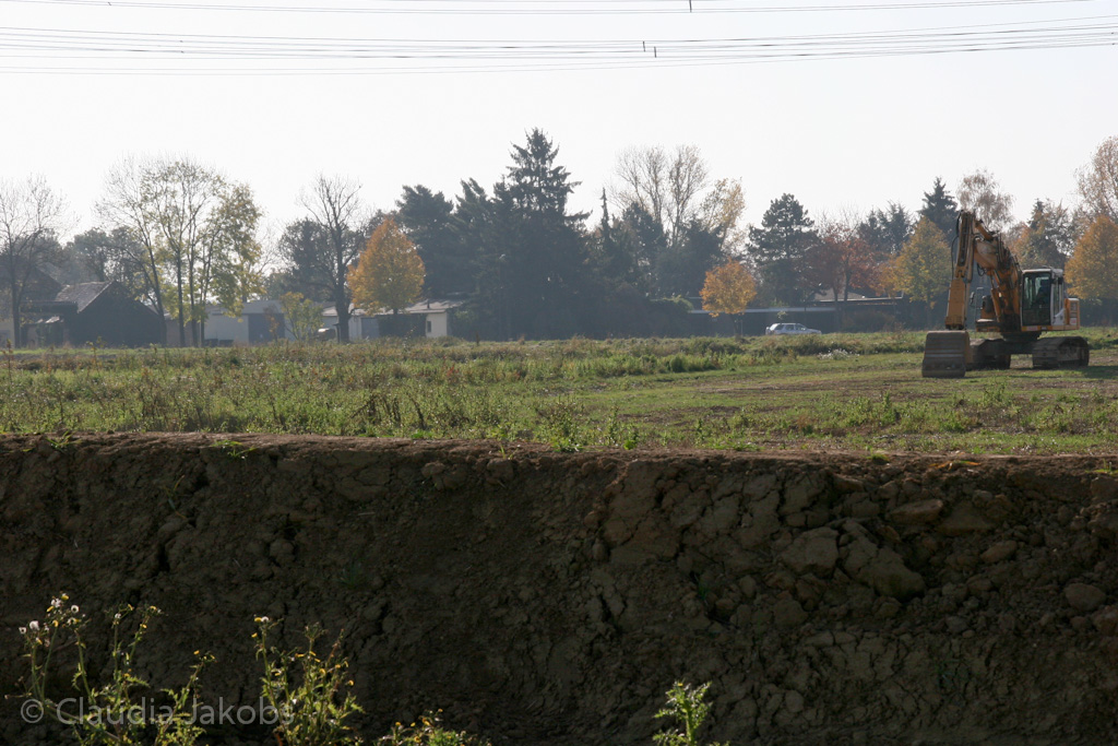 111101134132 IMG 0575