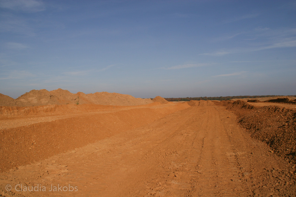 111101134216 IMG 0577