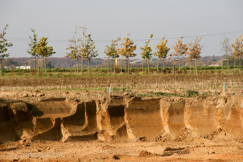 111101134545 IMG 0589