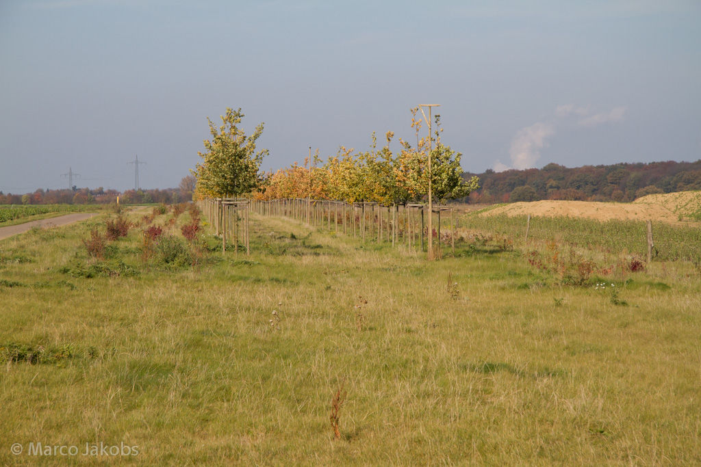 111101134558 IMG 6106