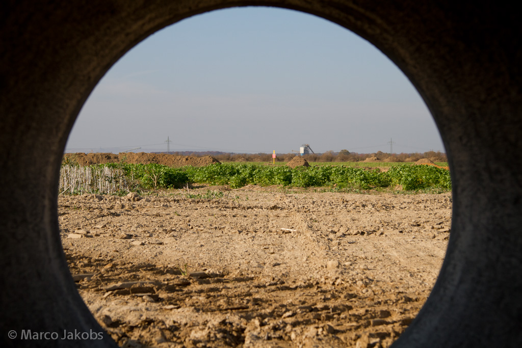 111101140035 IMG 6120