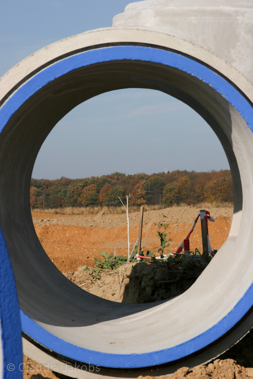 111101140311 IMG 0606