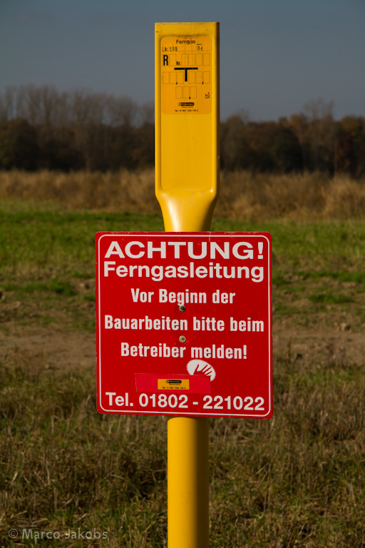 111101143708 IMG 6147