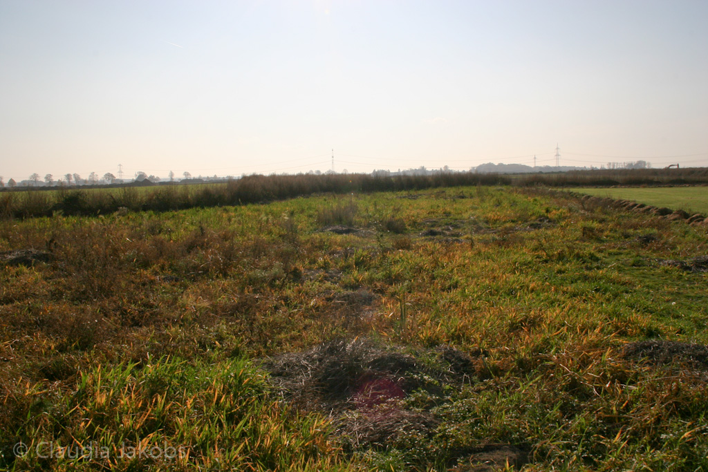 111101144634 IMG 0691