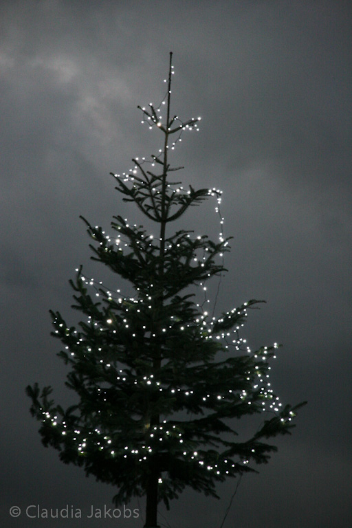 111127175850 IMG 0711