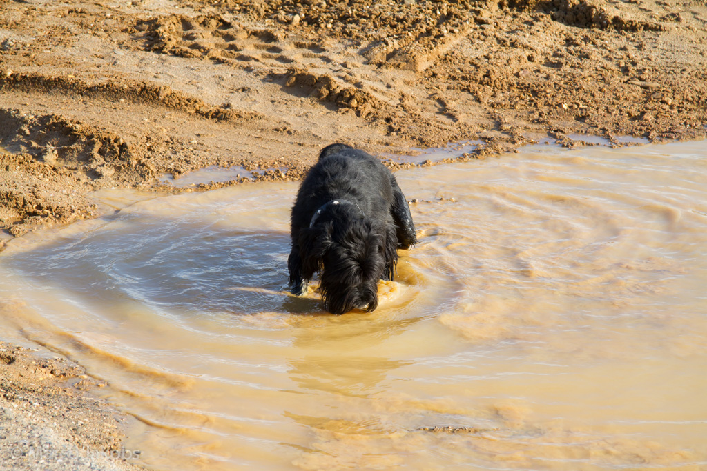 121111135200 MJ  9920