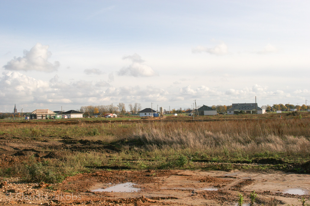 121111135523 IMG 4037