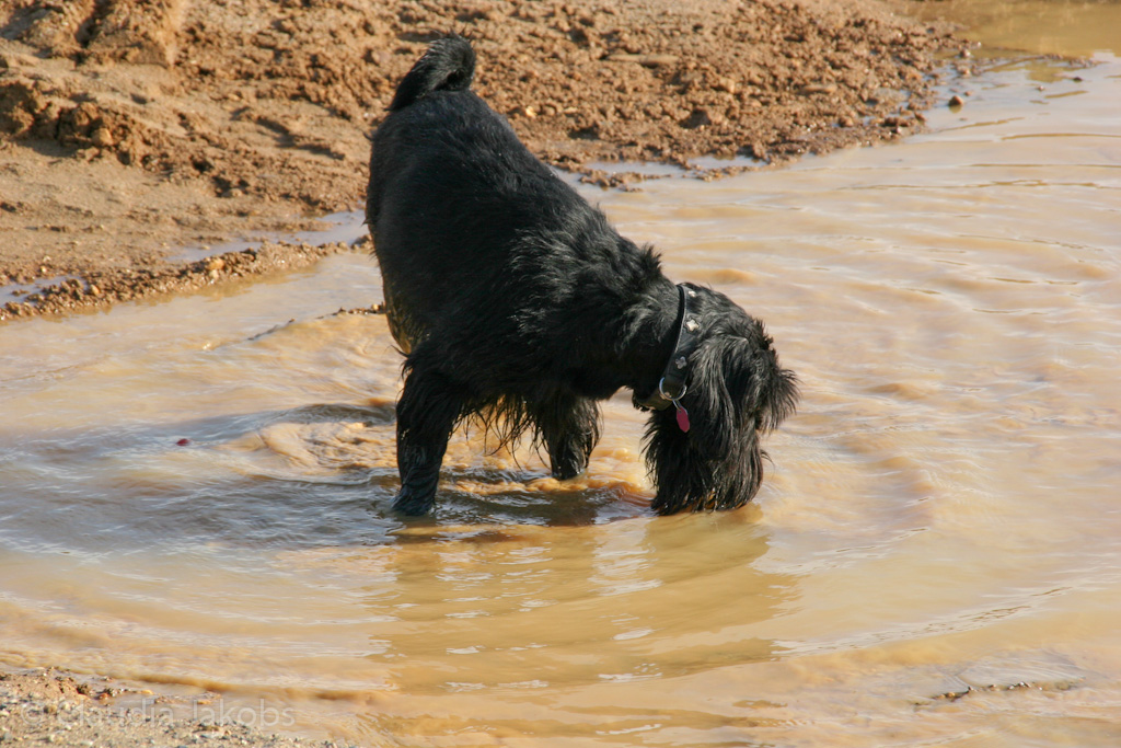 121111135643 IMG 4040