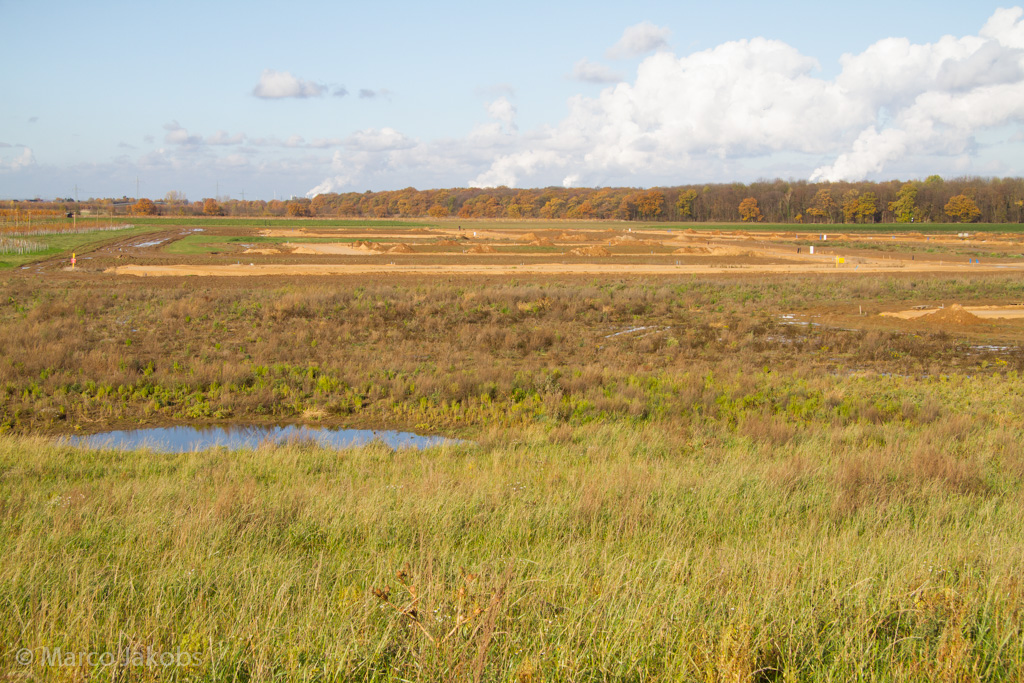 121111143211 MJ  9937