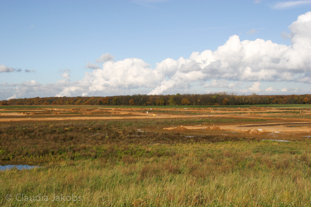 121111143708 IMG 4063