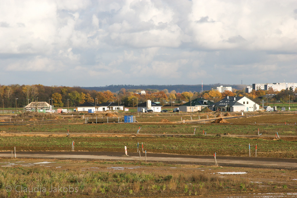 121111143735 IMG 4065