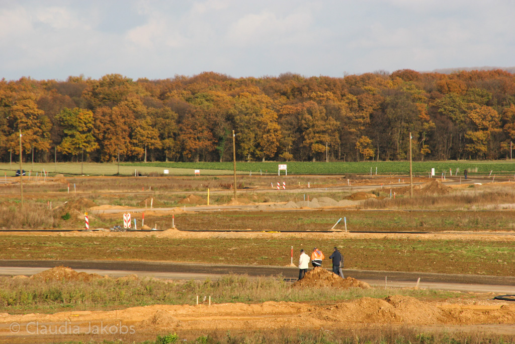 121111143815 IMG 4067