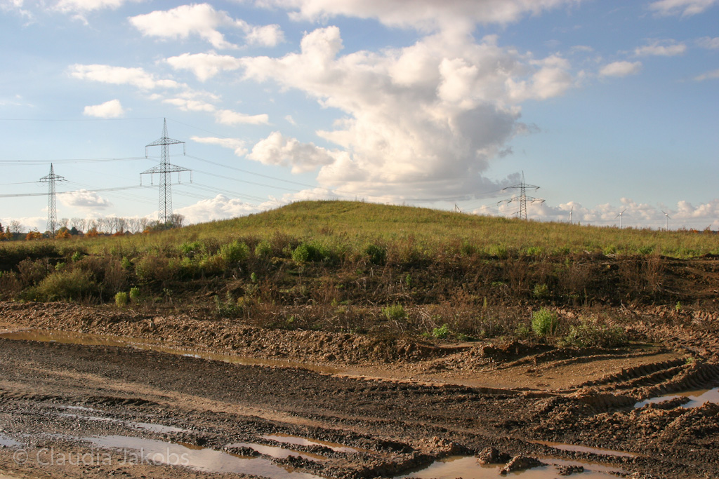 121111144038 IMG 4068