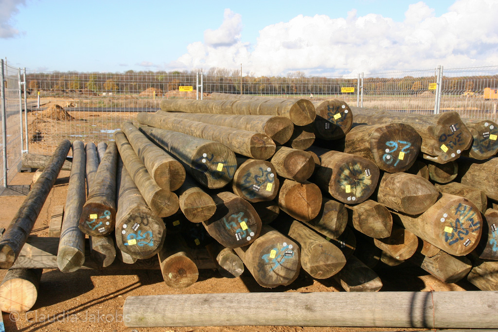 121111145110 IMG 4071