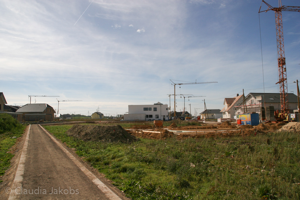 131003125319 IMG 6299