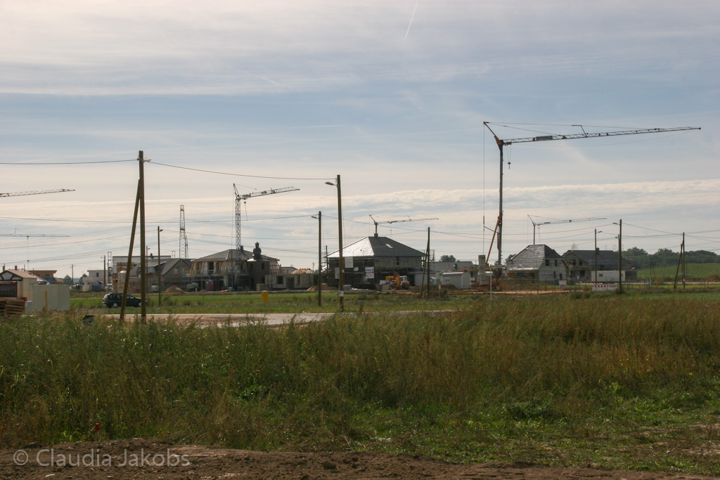 131003125632 IMG 6306