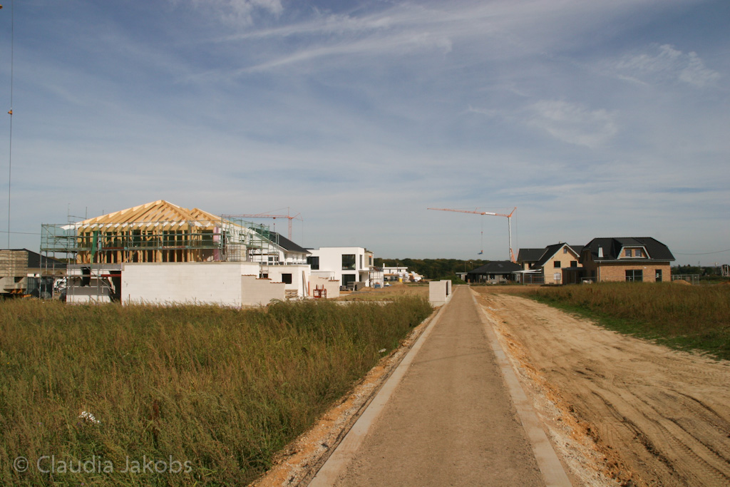 131003125848 IMG 6308