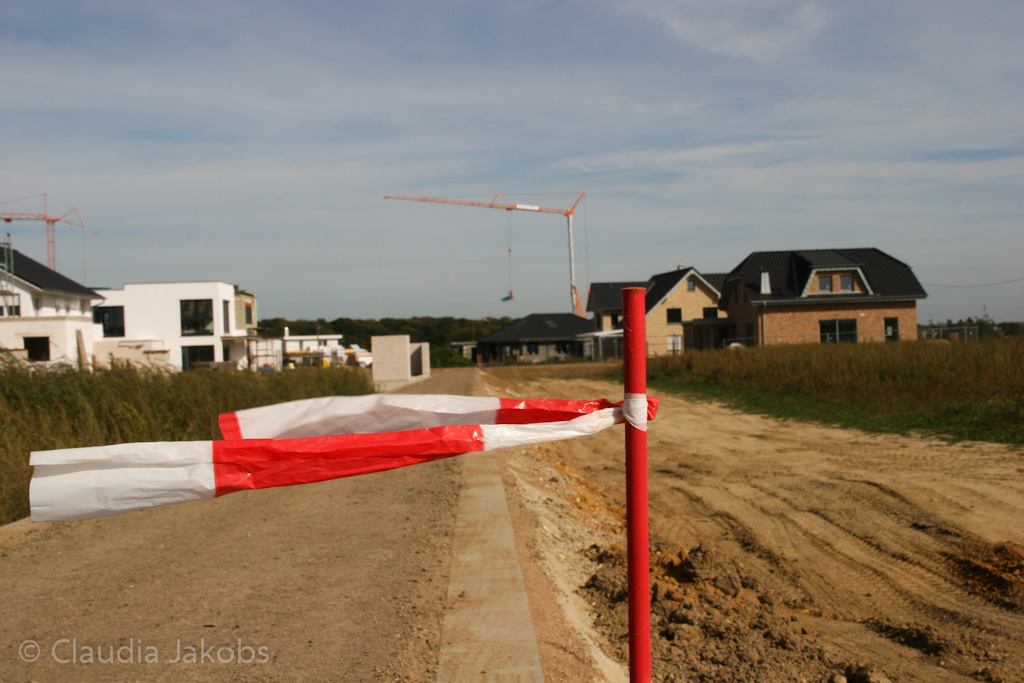 131003125922 IMG 6309