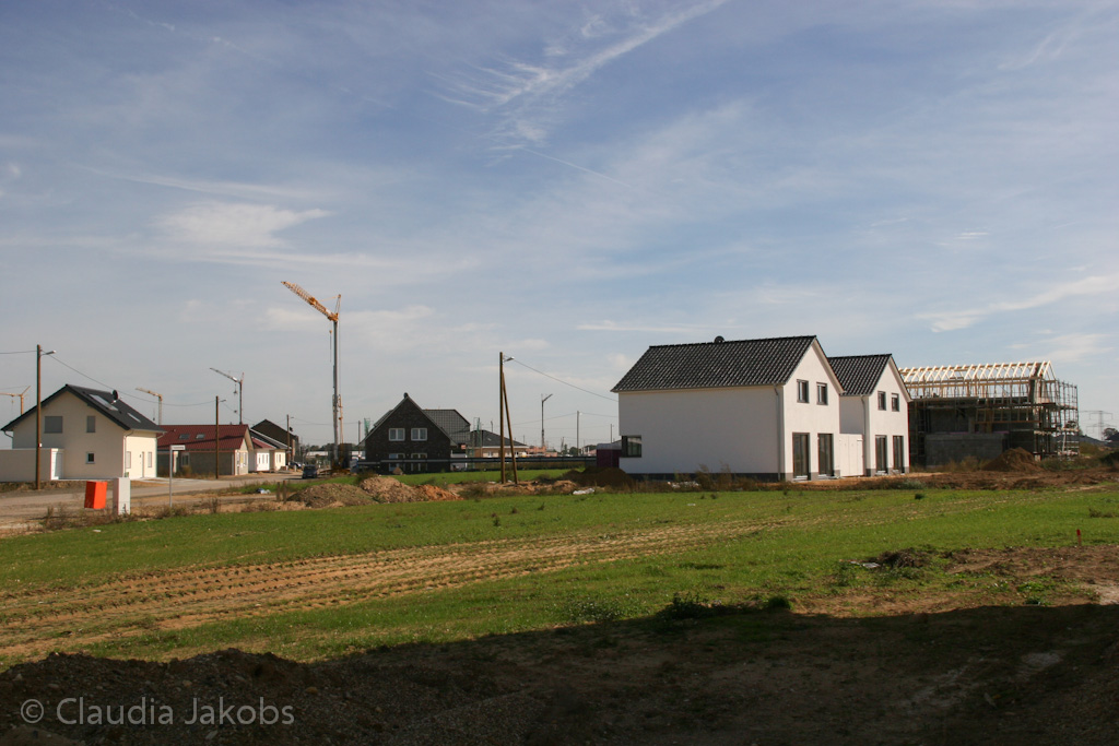 131003132734 IMG 6319